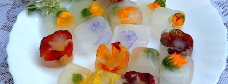 напиток из календулы с цветочным льдом. Шаг 6