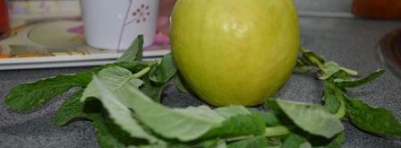 напиток с мелиссой и крыжовником. Шаг 2