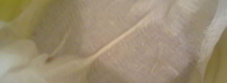 прохладительный напиток из шиповника. Шаг 5