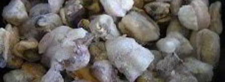 пряный морской коктейль. Шаг 3