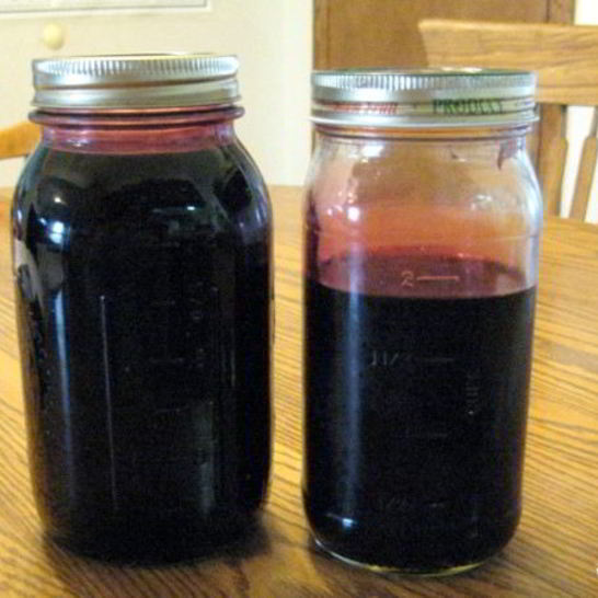 Рецепт сиропа шелковицы