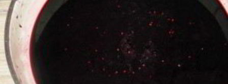 сироп шелковицы. Шаг 2