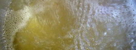 слива, замороженная в сахарном сиропе. Шаг 2