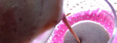 смузи лен с какао. Шаг 10