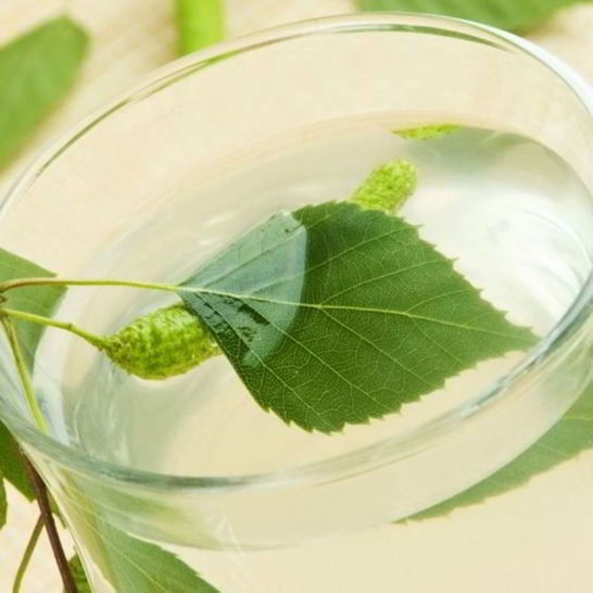 Рецепт вина из березового сока