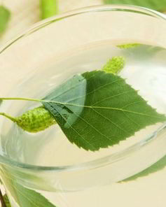 Вино из березового сока