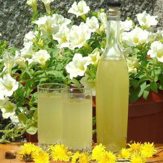 Рецепт вина из одуванчиков