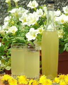 Вино из одуванчиков