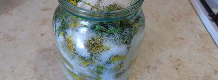 вино из одуванчиков. Шаг 2