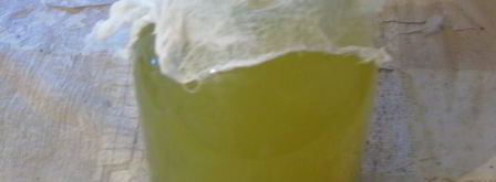 вино из одуванчиков. Шаг 5