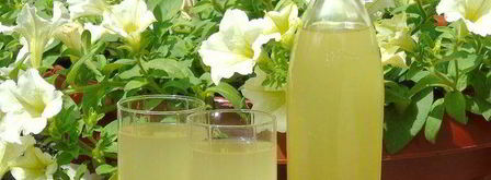 вино из одуванчиков. Шаг 7