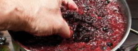 вино из рябины. Шаг 2