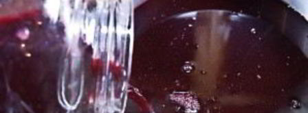 вино из рябины. Шаг 11