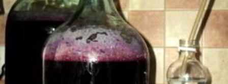 вино из сливы. Шаг 3