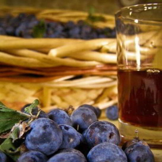 Рецепт вина из терна без дрожжей