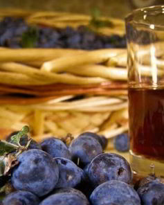 Вино из терна без дрожжей