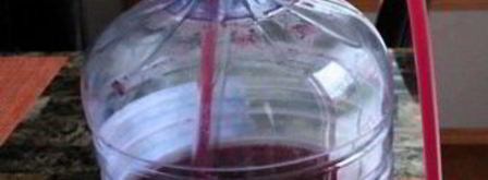 вино из терна без дрожжей. Шаг 3