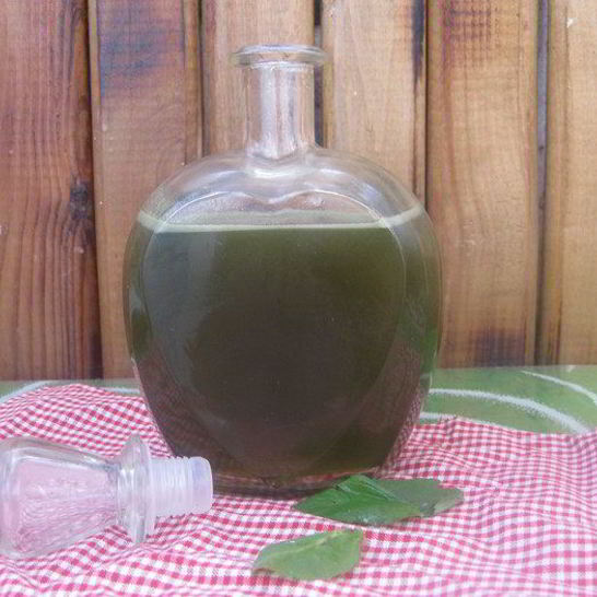 Рецепт зеленого мятного сиропа