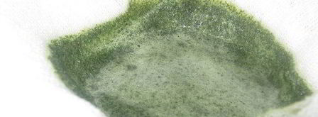 зеленый мятный сироп. Шаг 5