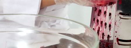 селедка под шубой. Шаг 2