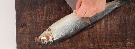 селедка под шубой. Шаг 4