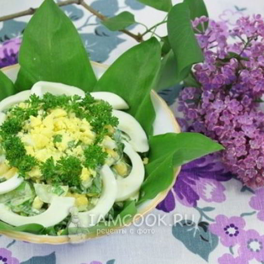 Рецепт весеннего салата с черемшой