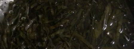 заготовка из морской капусты для салатов. Шаг 4