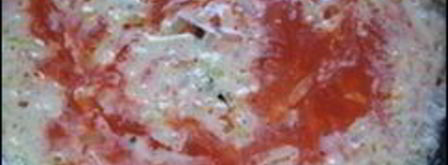 сметанно-томатный соус с луком. Шаг 6