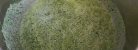 соус из шпината. Шаг 4