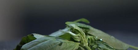 соус провансаль. Шаг 3