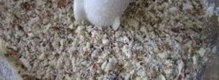 абрикосовый суп с рисом. Шаг 7