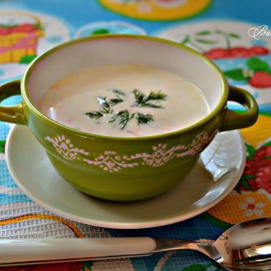 Рецепт болгарского летнего супа