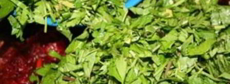 борщ на зиму с капустой. Шаг 7