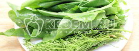 борщ со щавелем. Шаг 8