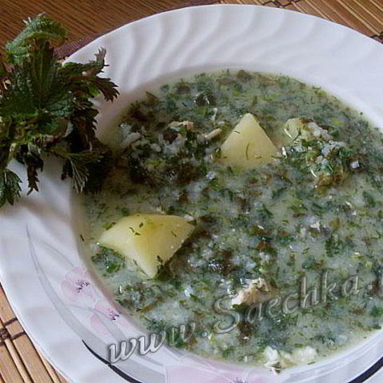 Рецепт зеленого борща с крапивой