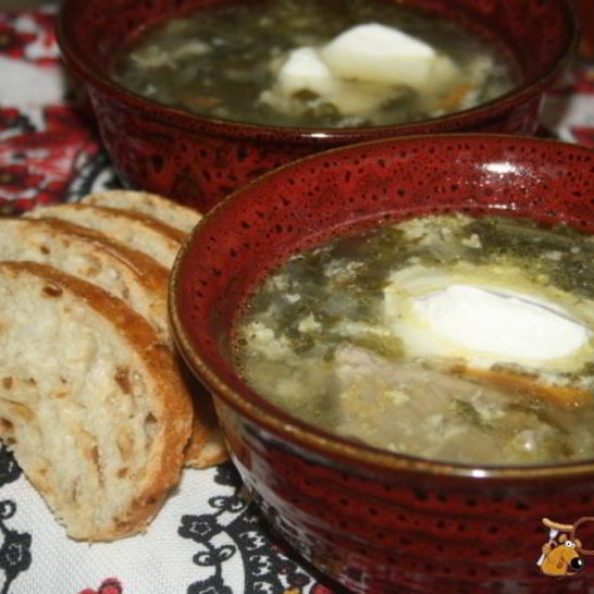 Рецепт зеленого борща со щавелем и виноградными листьями