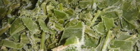 зеленый борщ. Шаг 5