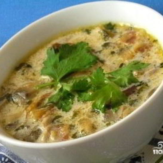 Рецепт грибного супа из замороженных подберезовиков