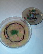 Мюнхенский картофельный суп