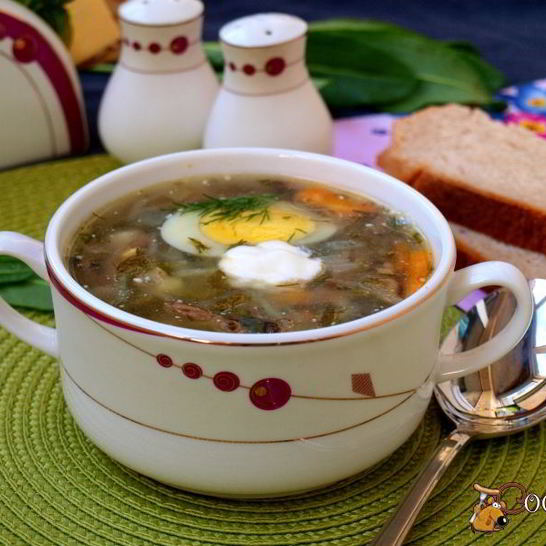 Рецепт щавелевого супа с капустой и шампиньонами