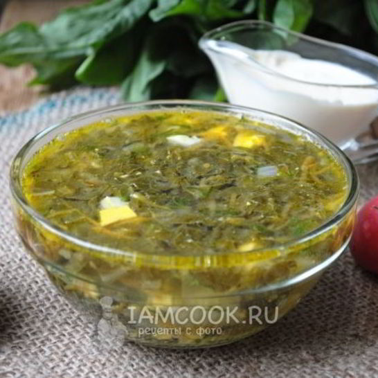 Рецепт щей из щавеля на курином бульоне