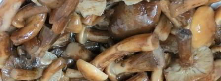 солянка грибная с огурцами. Шаг 5