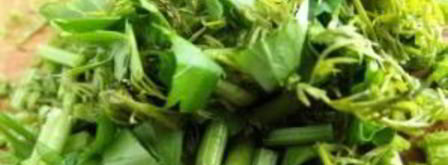 солянка с копченой курицей. Шаг 6