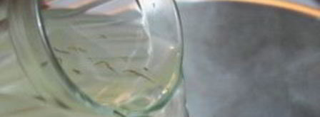 солянка с креветками. Шаг 13