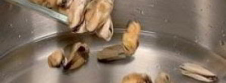 суп чаудер. Шаг 6