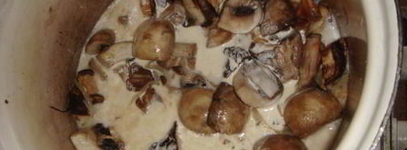 грибной суп-пюре капучино. Шаг 7