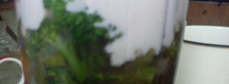 суп-пюре из брокколи с сырным сливочным соусом. Шаг 4