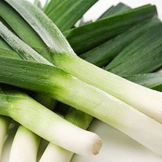 Рецепт супа-пюре из лука-порея