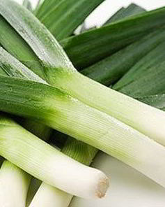 Суп-пюре из лука-порея