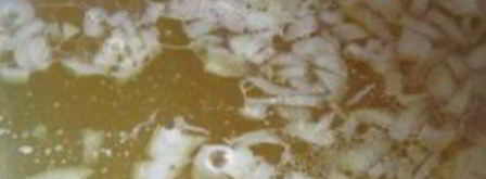 суп с цветной капустой и фрикадельками. Шаг 7